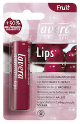 Lips Black Currant Huulivoide