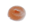 Trend Sensitiv Huulikiilto no.5