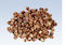 Pesup�hkin� Nepal 1kg pussi