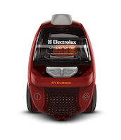 Electrolux  UltraPerformer ZUP3820RP